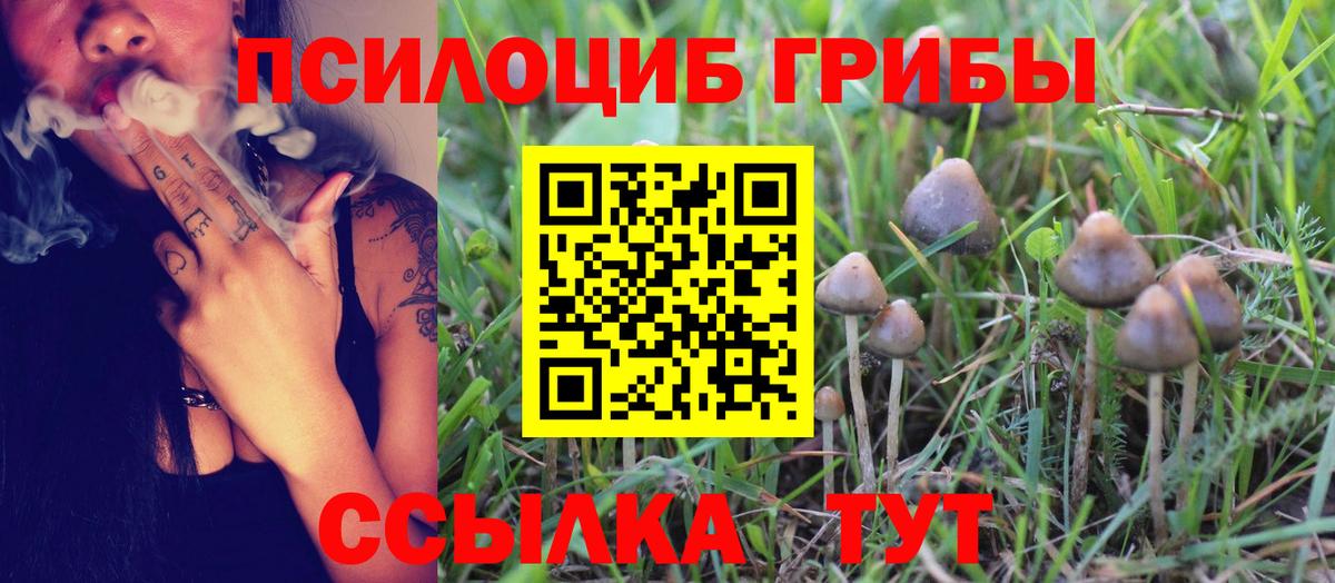 Псилоцибиновые грибы MAGIC MUSHROOMS Вольск