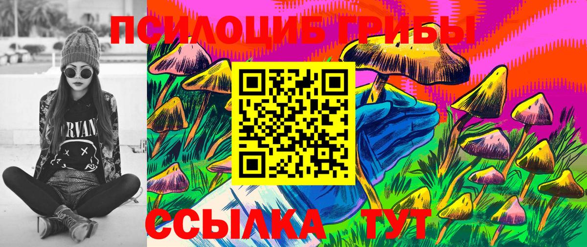 Псилоцибиновые грибы Psilocybe  Вход с VPN  Вольск  Галлюциногенные грибы MAGIC MUSHROOMS 